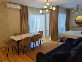 Studio Apartment with Sauna